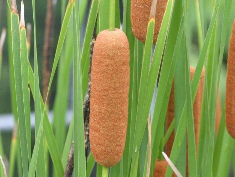 청년풀협동조합 이미지