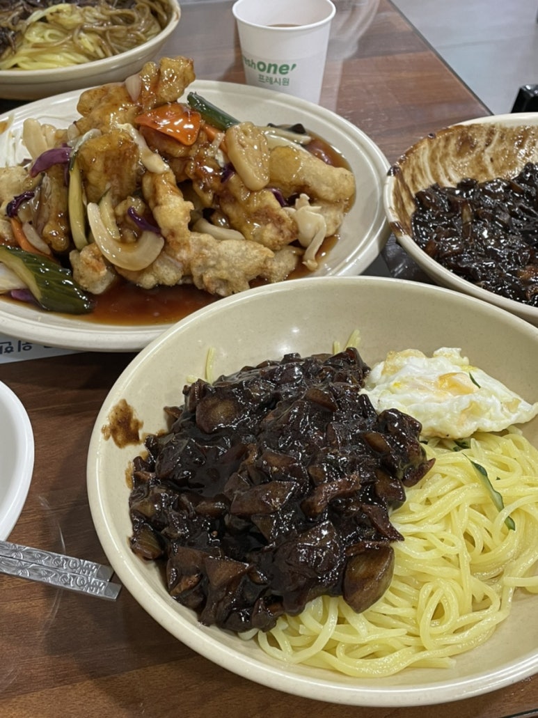 마요트레블 이미지