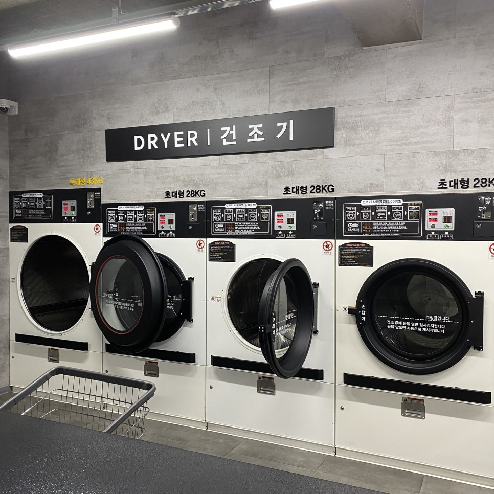 에코워시24 이미지