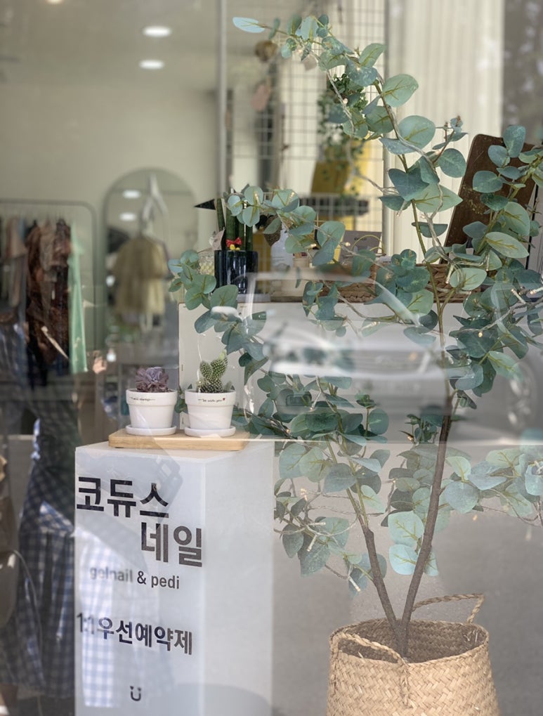 코듀스네일 이미지
