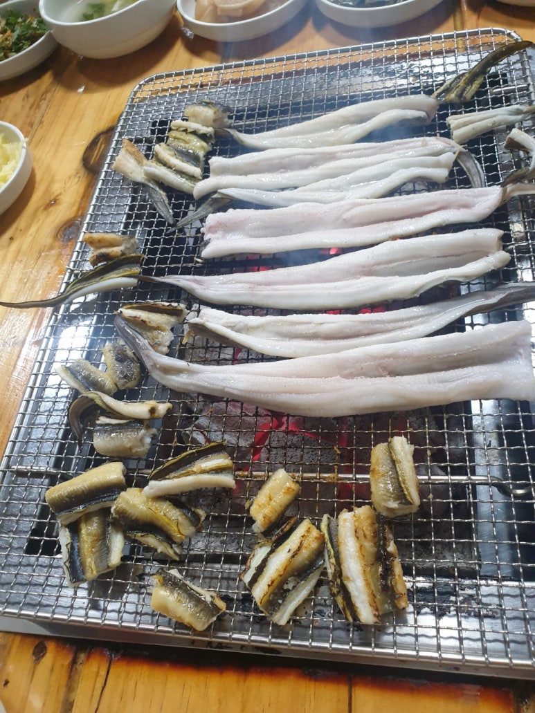 진동돌장어 이미지
