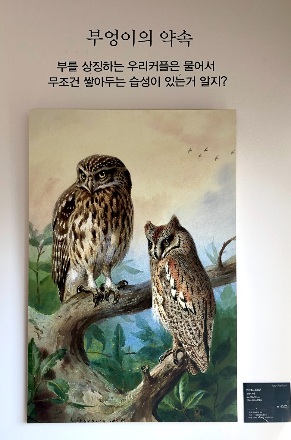 베이커리동동 이미지