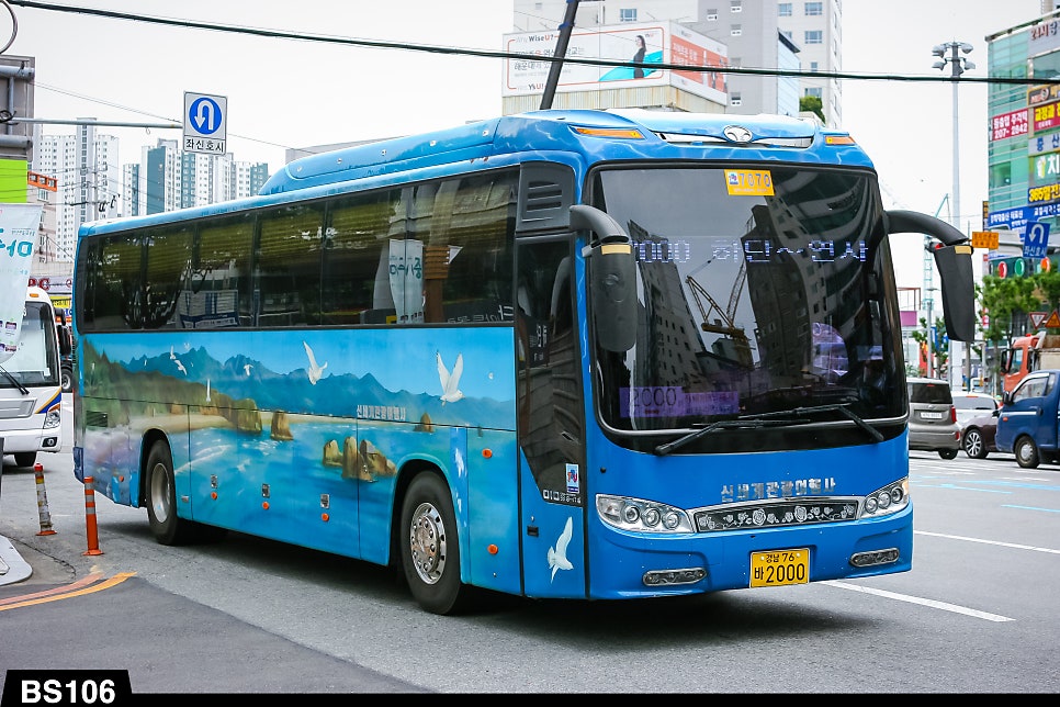 2000관광여행사 이미지