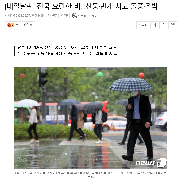 청소하는호랑이 이미지