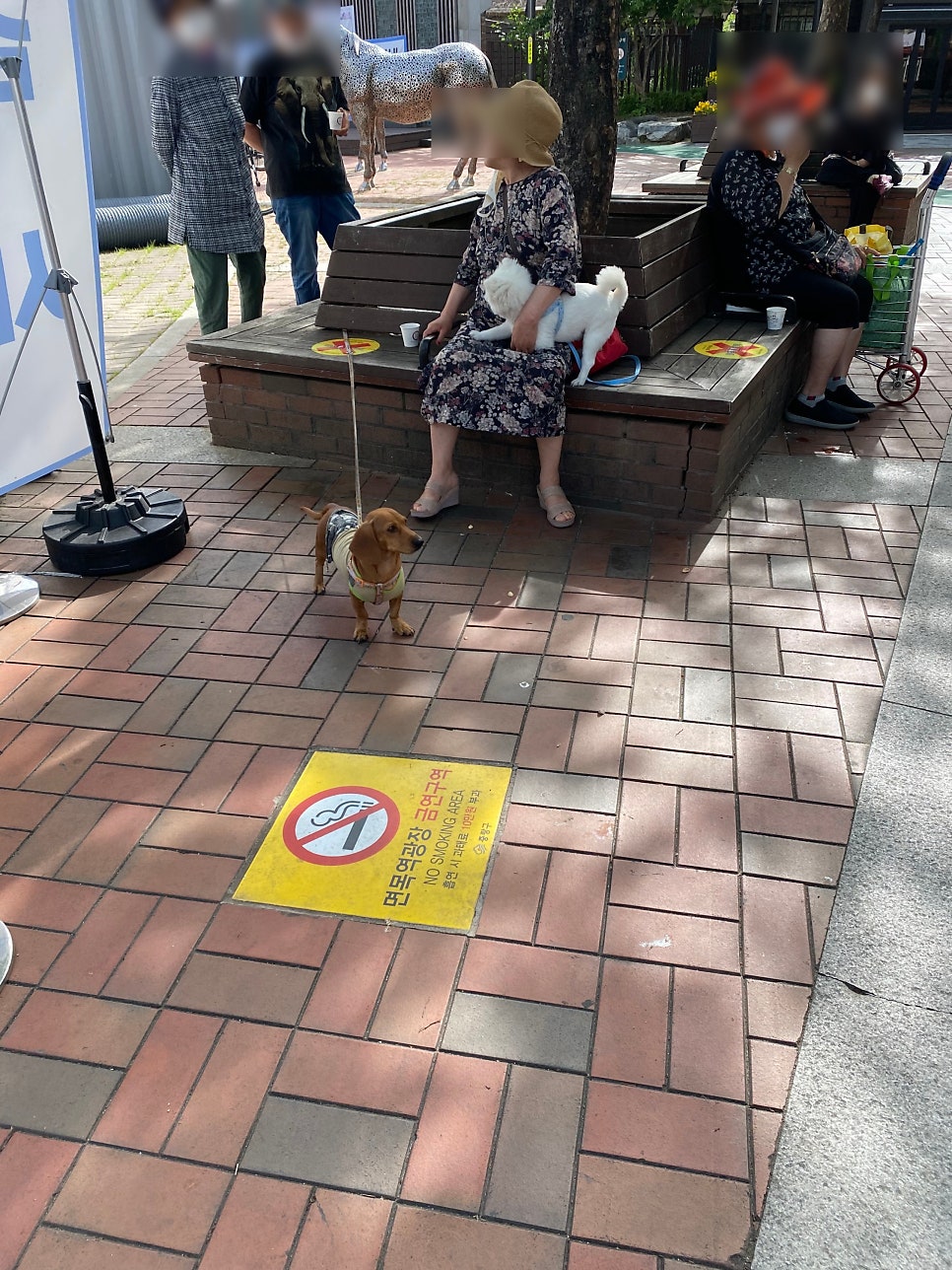주부정육점 이미지