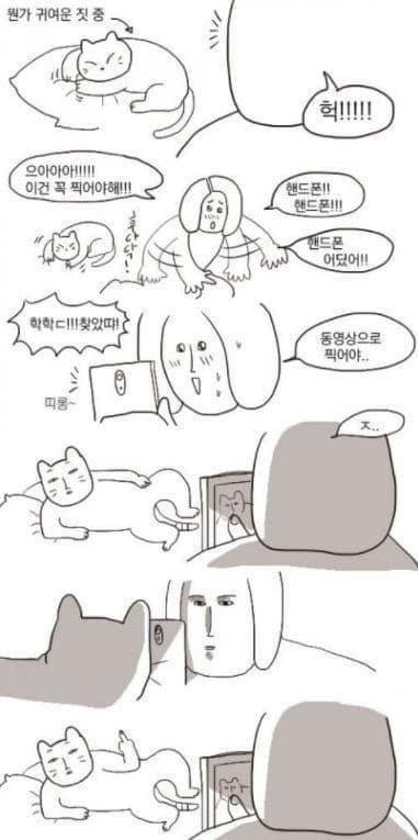 나만없어고양이 이미지