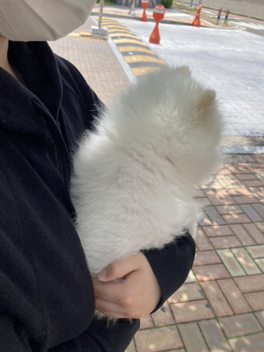 포미호떡 이미지