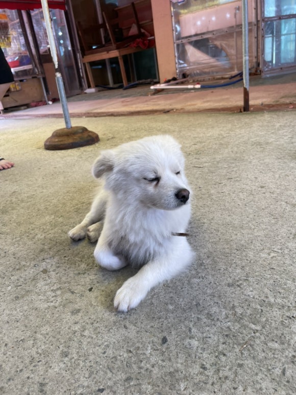 흥진수산 이미지