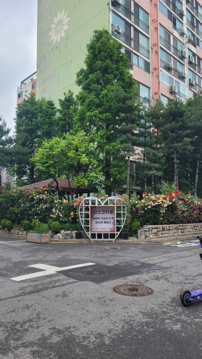아비오슈가 이미지