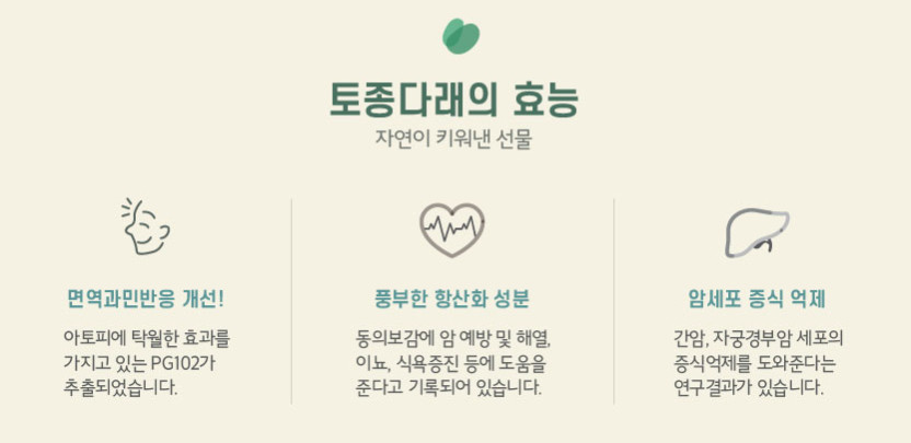 다래팜핑 이미지