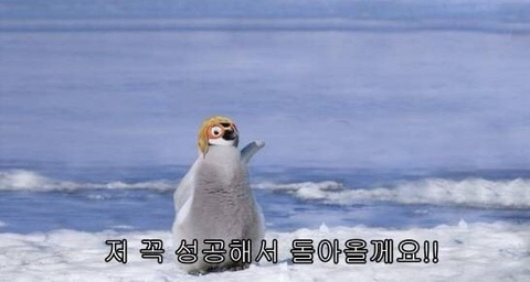 지데이 이미지