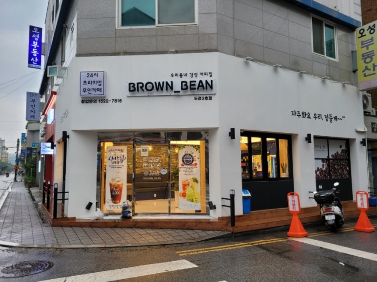 브라운빈두정 이미지
