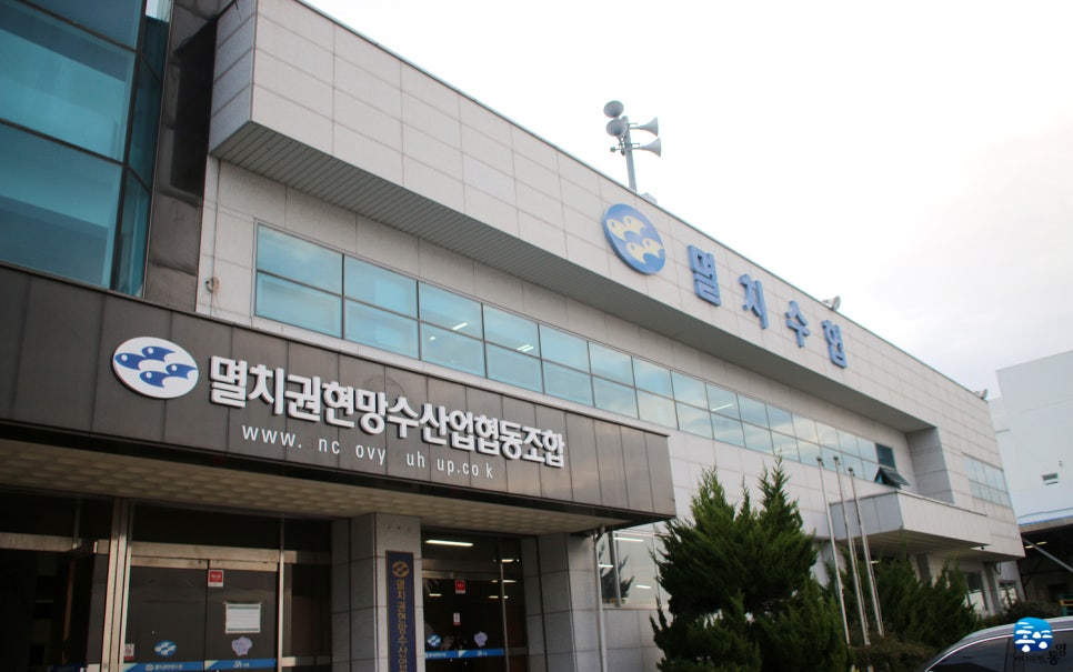 멸치협동조합 이미지