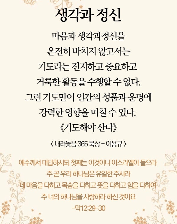 포도나무365 이미지