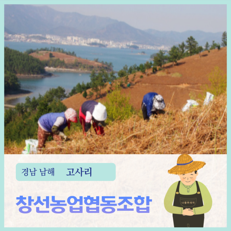 고사리협동조합 이미지