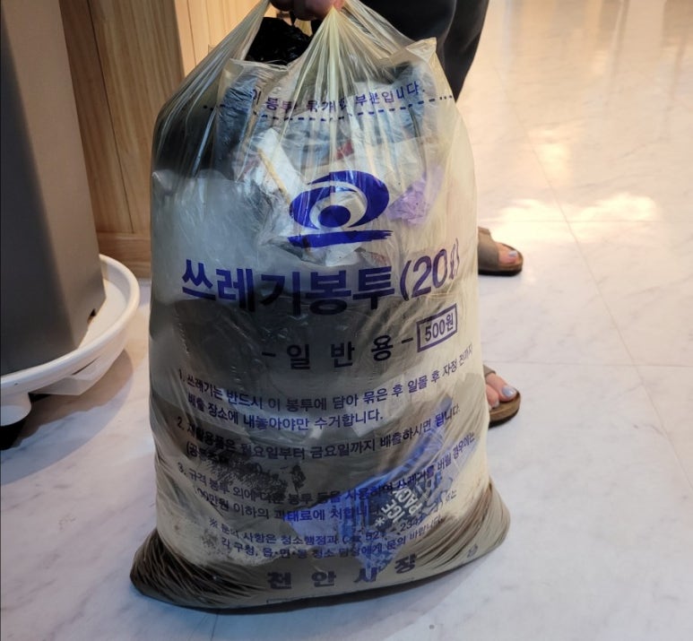 브라운빈두정 이미지