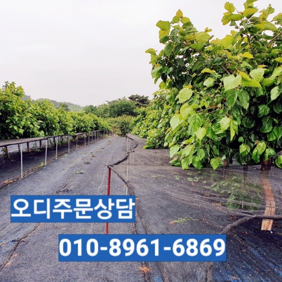 농업회사법인 유한회사천국농장 이미지