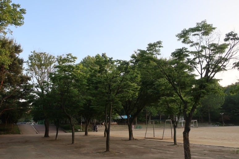 갈마공원 이미지