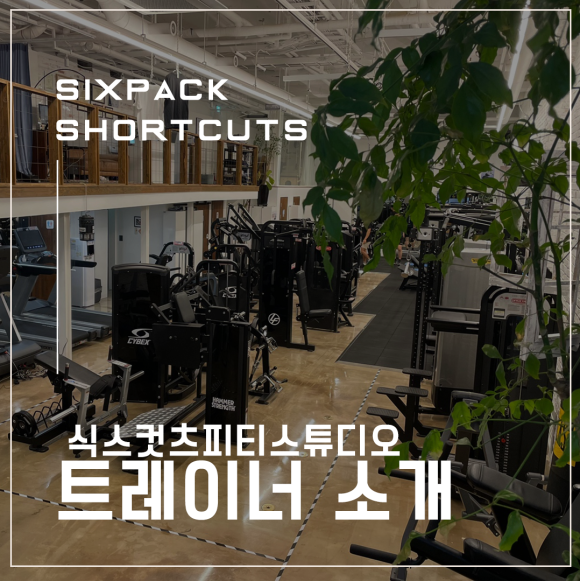 식스컷츠 이미지