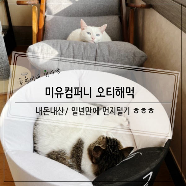 미유컴퍼니 이미지