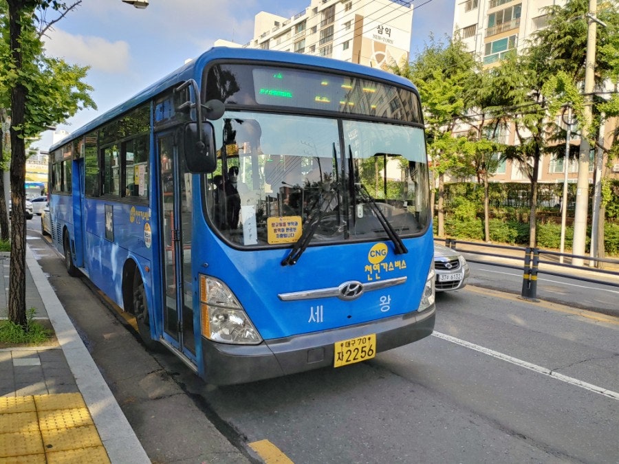 세왕 이미지
