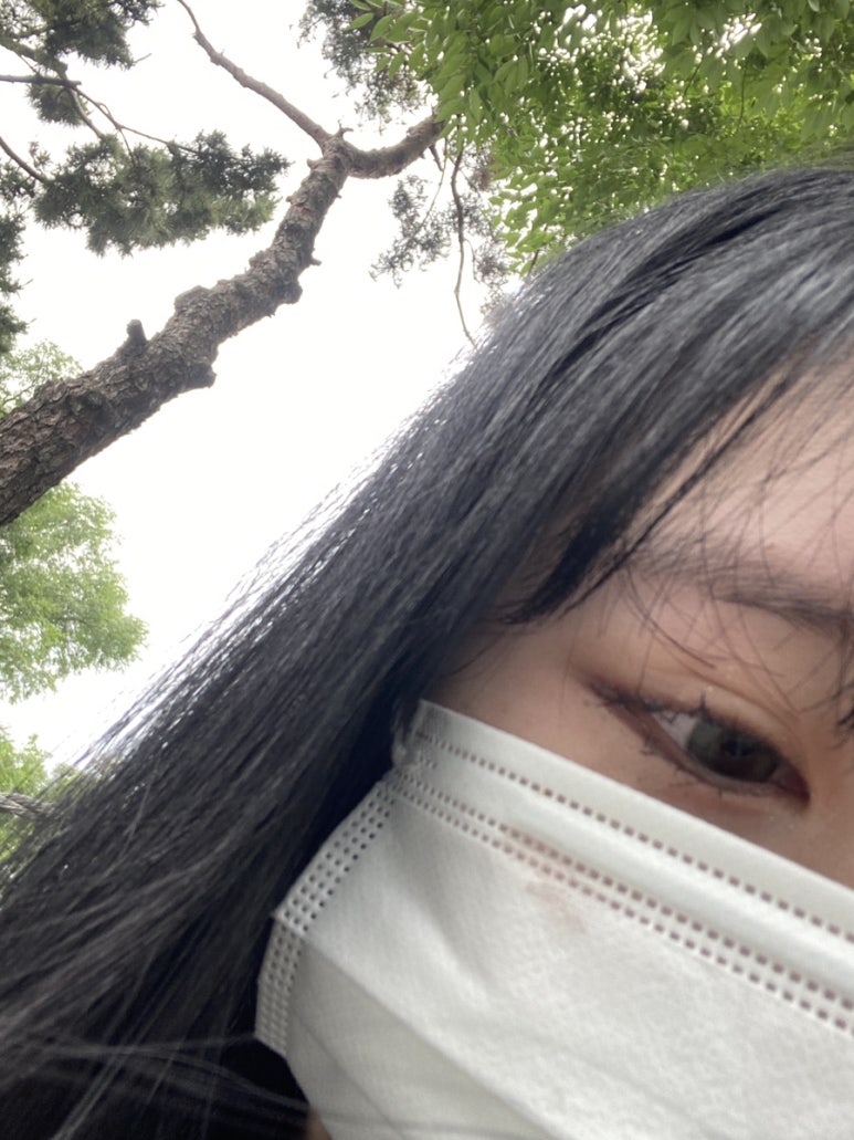 광광렉카 이미지