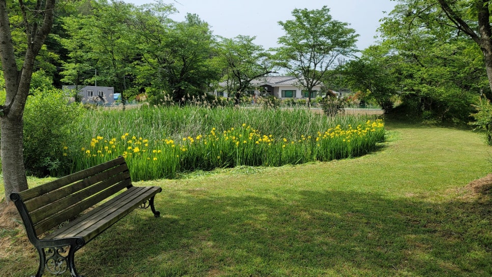 나만의비밀정원 이미지