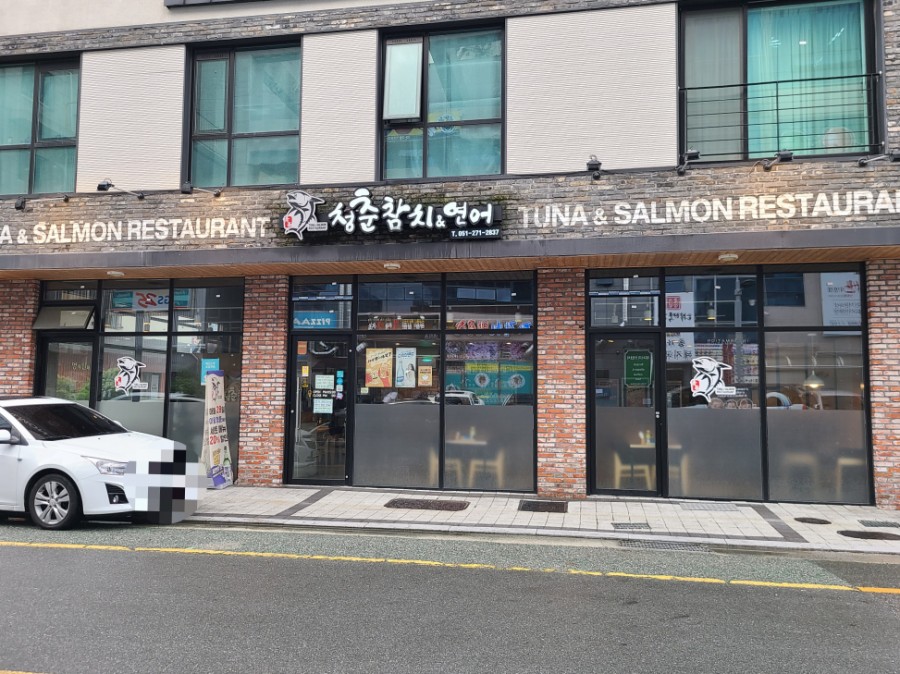 청춘참치 이미지