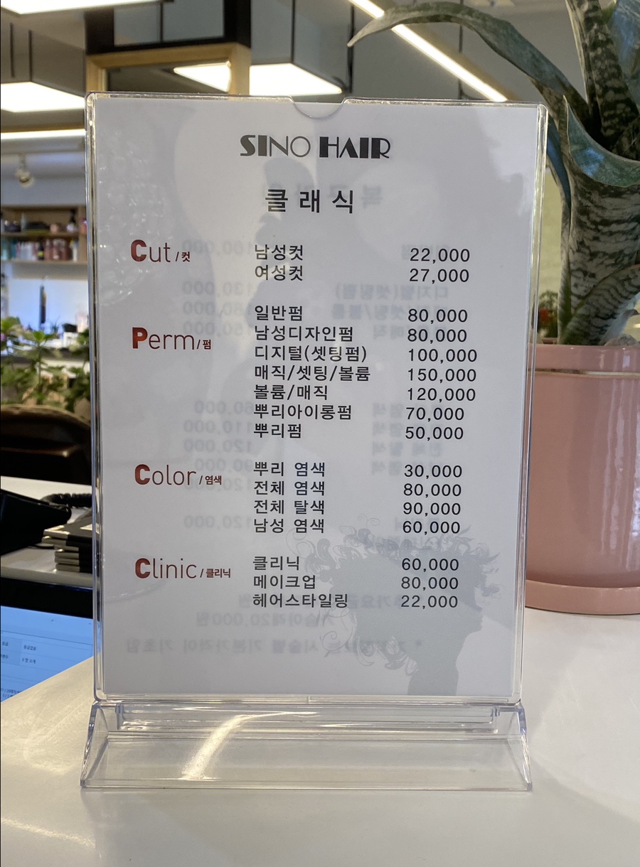 시노헤어 이미지
