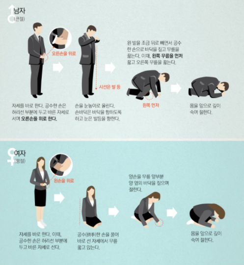 헤세디아 이미지
