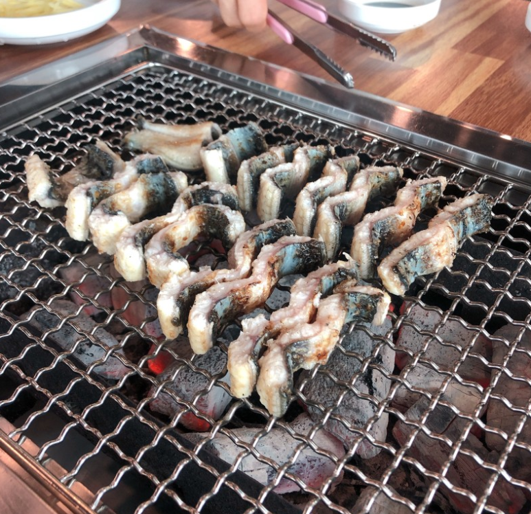 팔딱팔딱 이미지