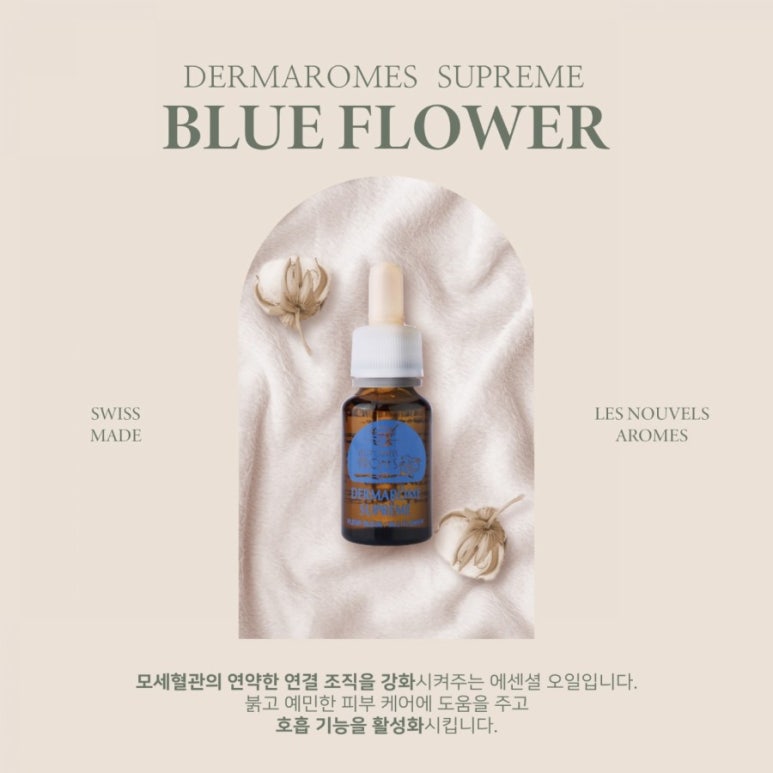 블루아로마 이미지