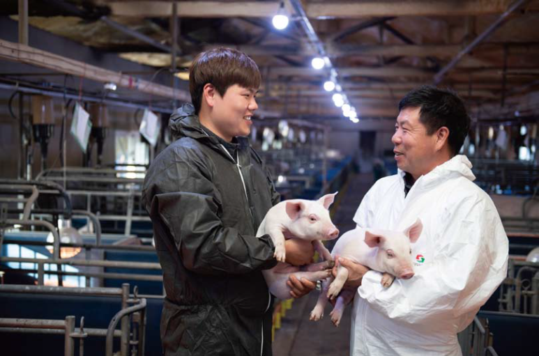 동일축산 이미지