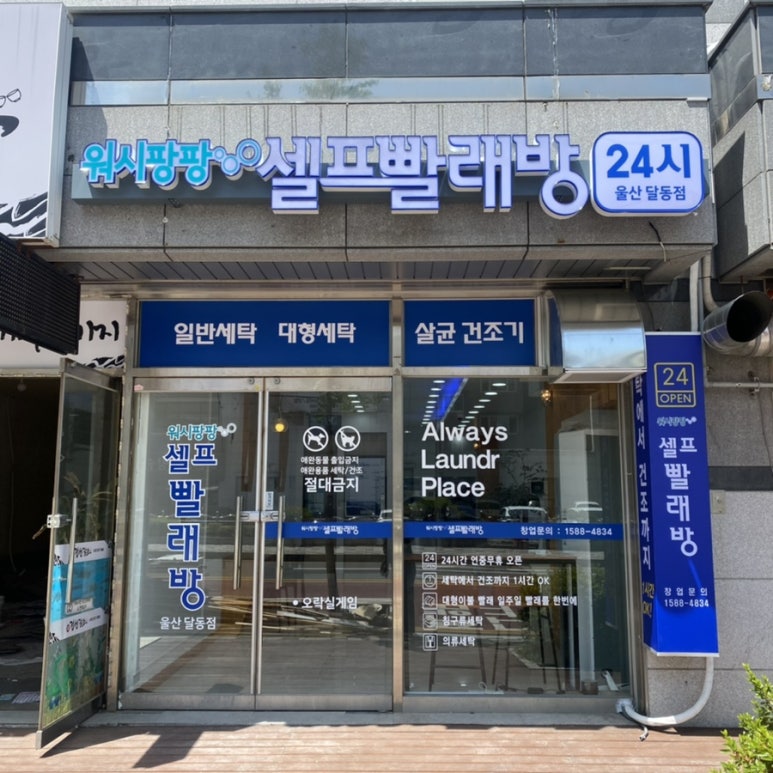 워시팡팡셀프빨래방울산 이미지