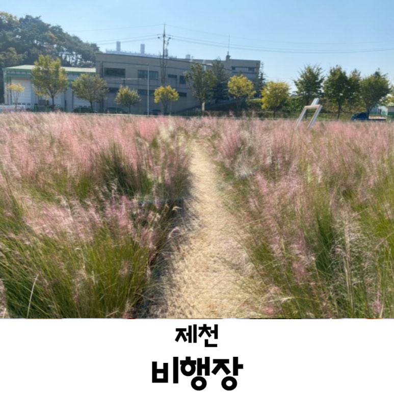 비행장주유소 이미지