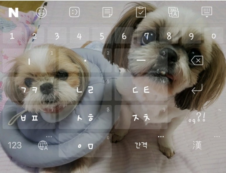 까까쟁이 이미지