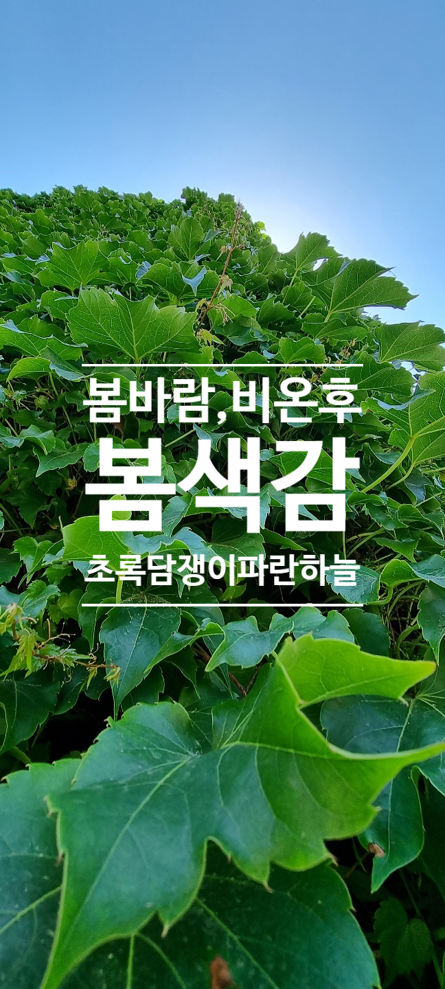 새수정미용실 이미지