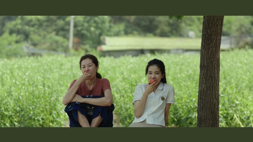아이슈크림할인점 이미지