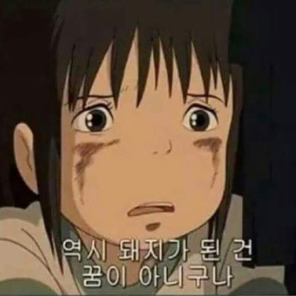 홍가네 이미지