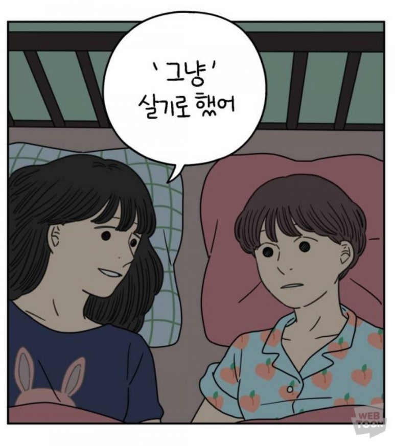 차우리다 이미지