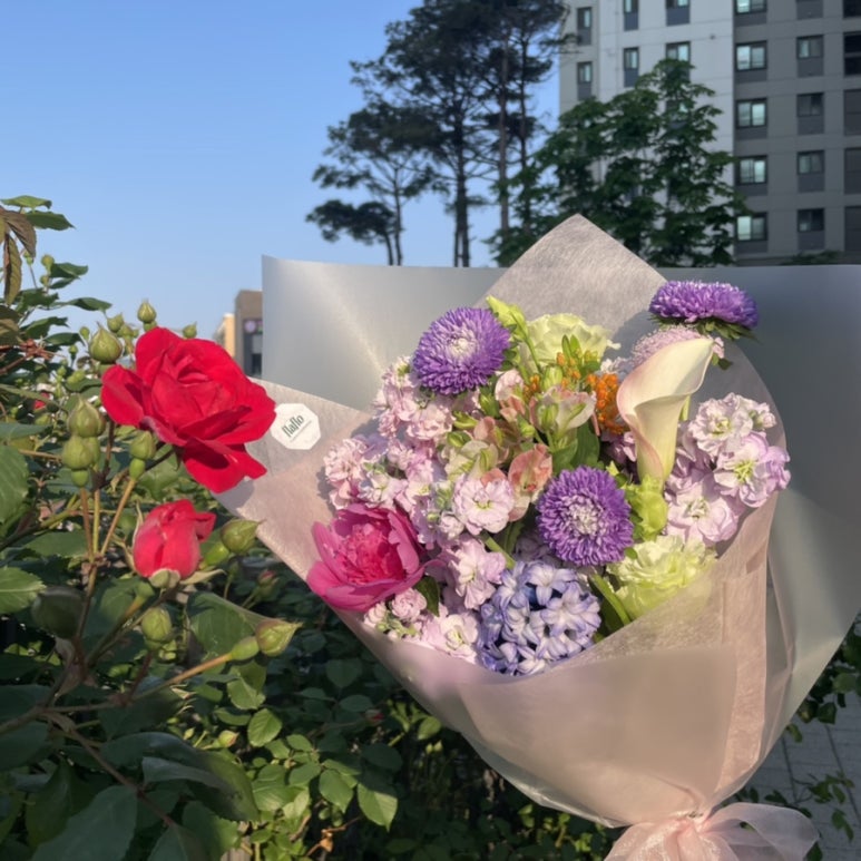 디자인림 이미지