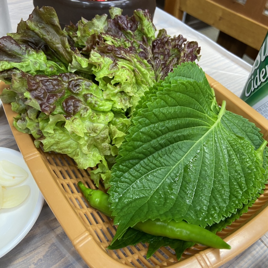 용세프민물나라 이미지