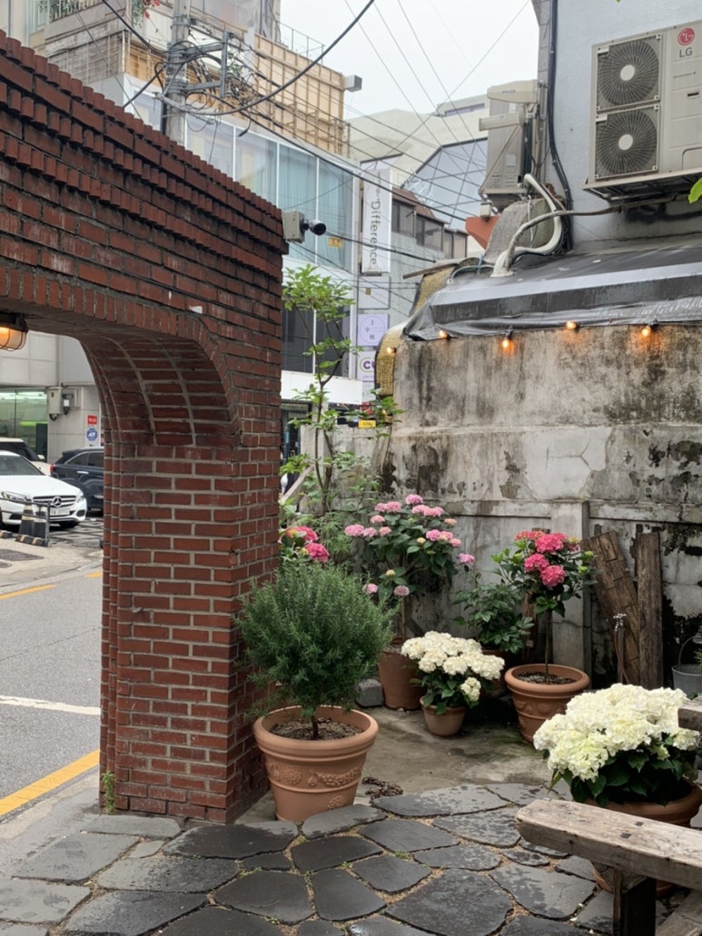툴레아르Tulear 이미지
