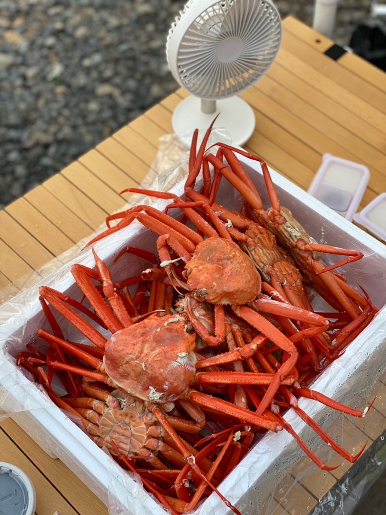 바다홍게 이미지