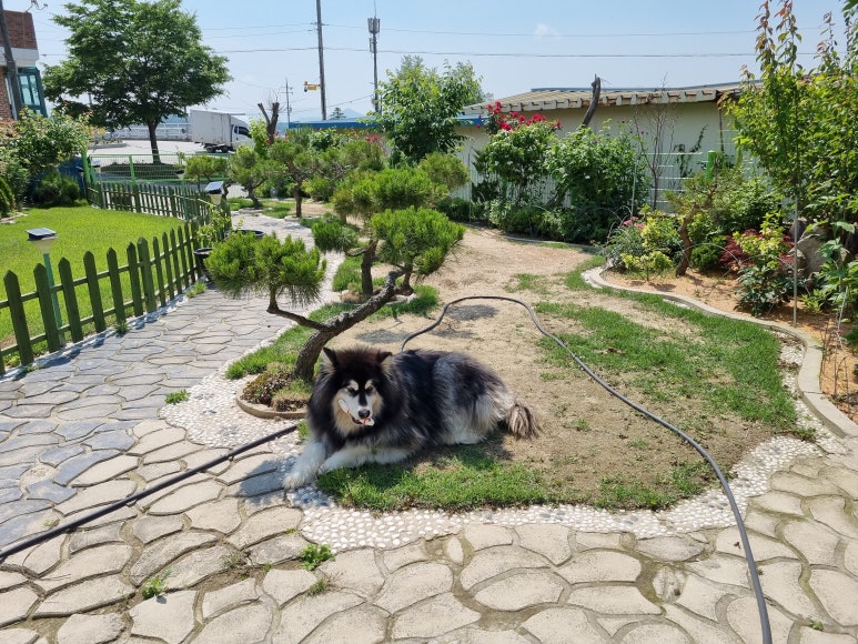 틸문 이미지