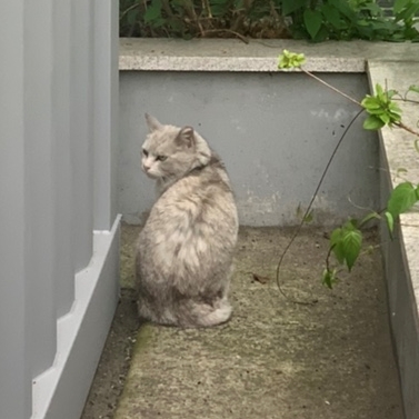 금곡바다장어구이 이미지