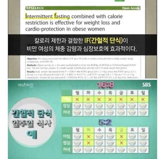 브론즈짐 이미지