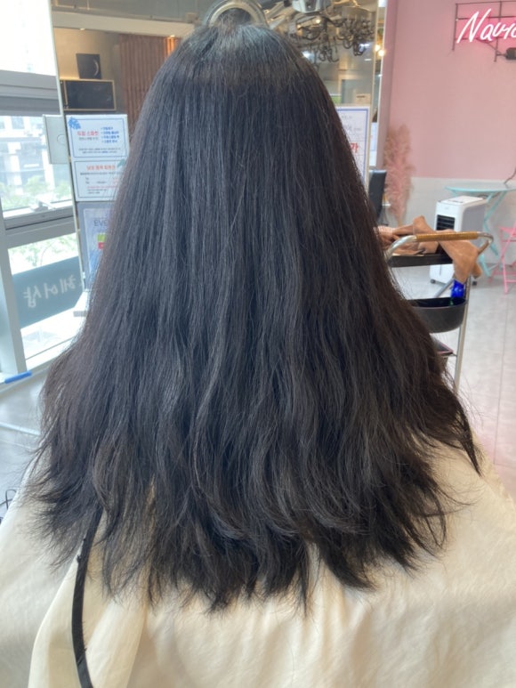 나비드헤어# 이미지