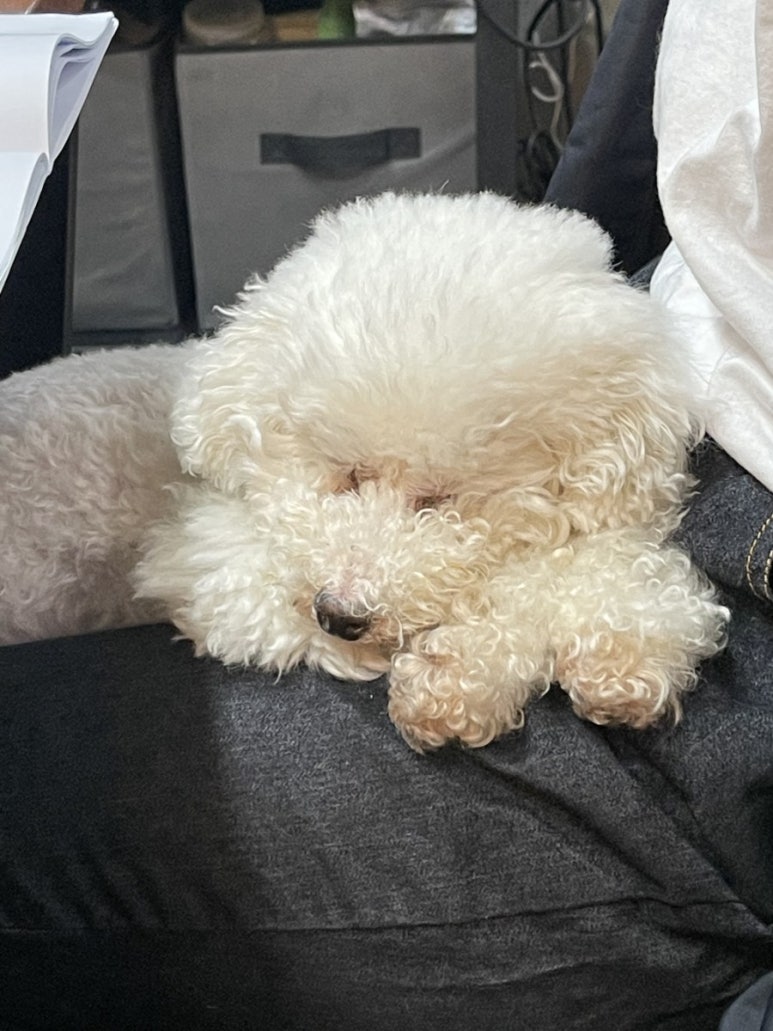 더힐테라피센터 이미지