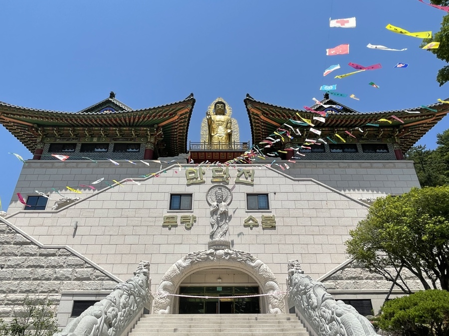 정촌손짜장 이미지